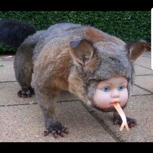 Meet your Posher, James